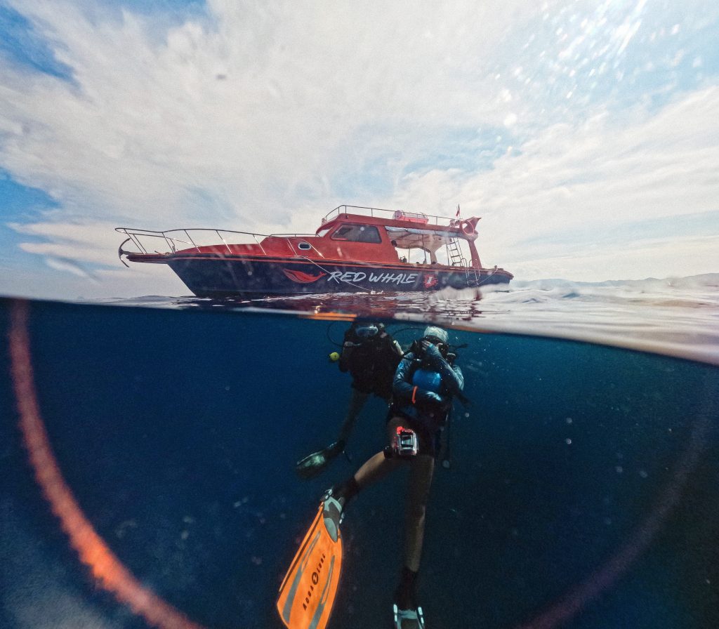 speedboat diving komodo
